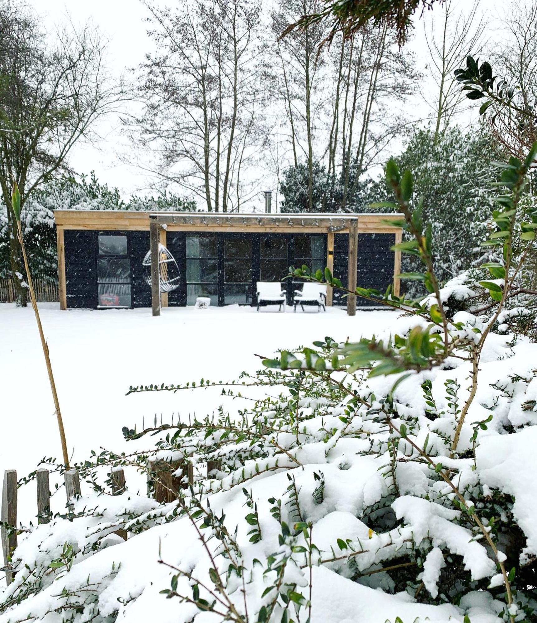 Hoogtij°D Bed & Breakfast Oostvoorne Luaran gambar